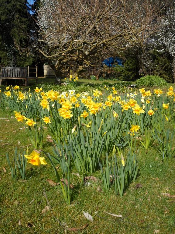 Gages Mill Hotel Ashburton Luaran gambar